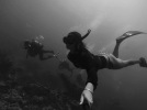 "Free"Diving with Amoray Scuba Charters